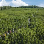 Stunning In Pohorje With Wifi Apartament Hočko Pohorje