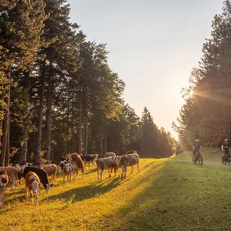 Stunning In Pohorje With Wifi