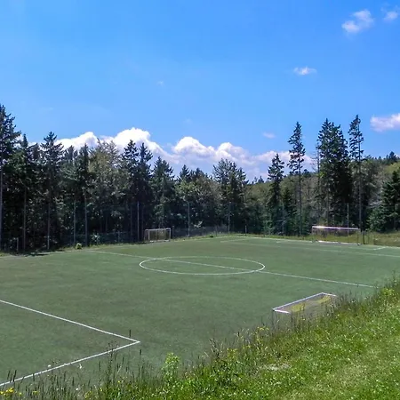 Stunning In Pohorje With Wifi Apartment
