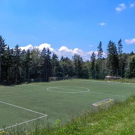 Stunning In Pohorje With Wifi Lejlighed