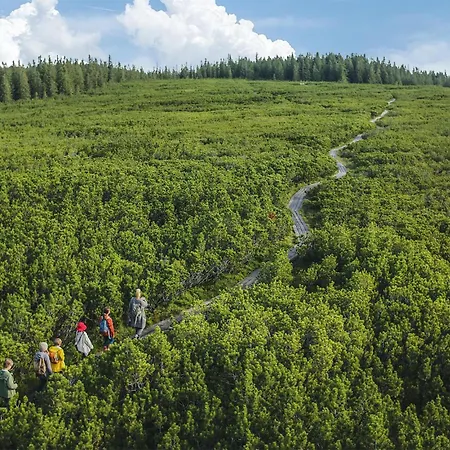 Stunning In Pohorje With Wifi Appartement Hočko Pohorje